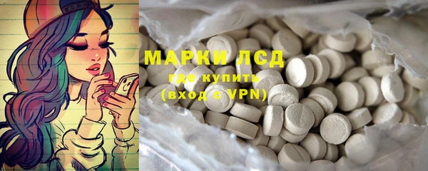 ГАЛЛЮЦИНОГЕННЫЕ ГРИБЫ Няндома