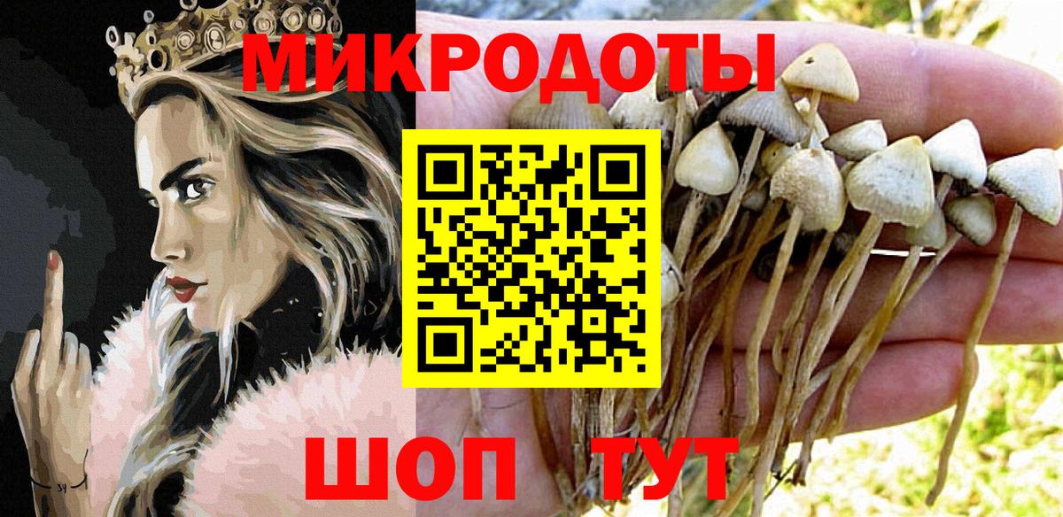 Псилоцибиновые грибы Cubensis Клин