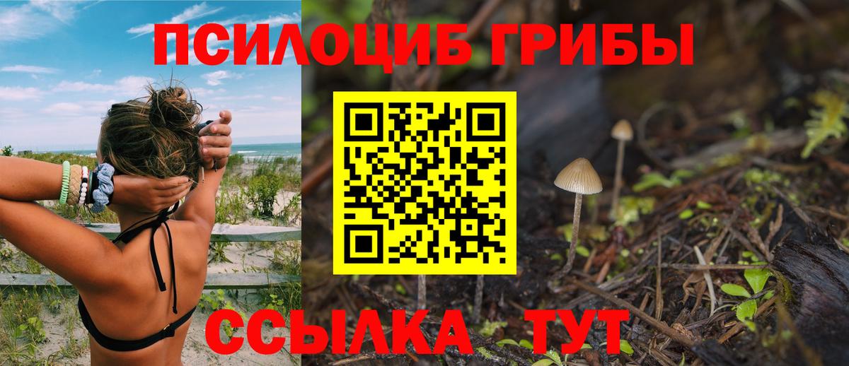 Галлюциногенные грибы Cubensis  Вход с VPN  Клин 